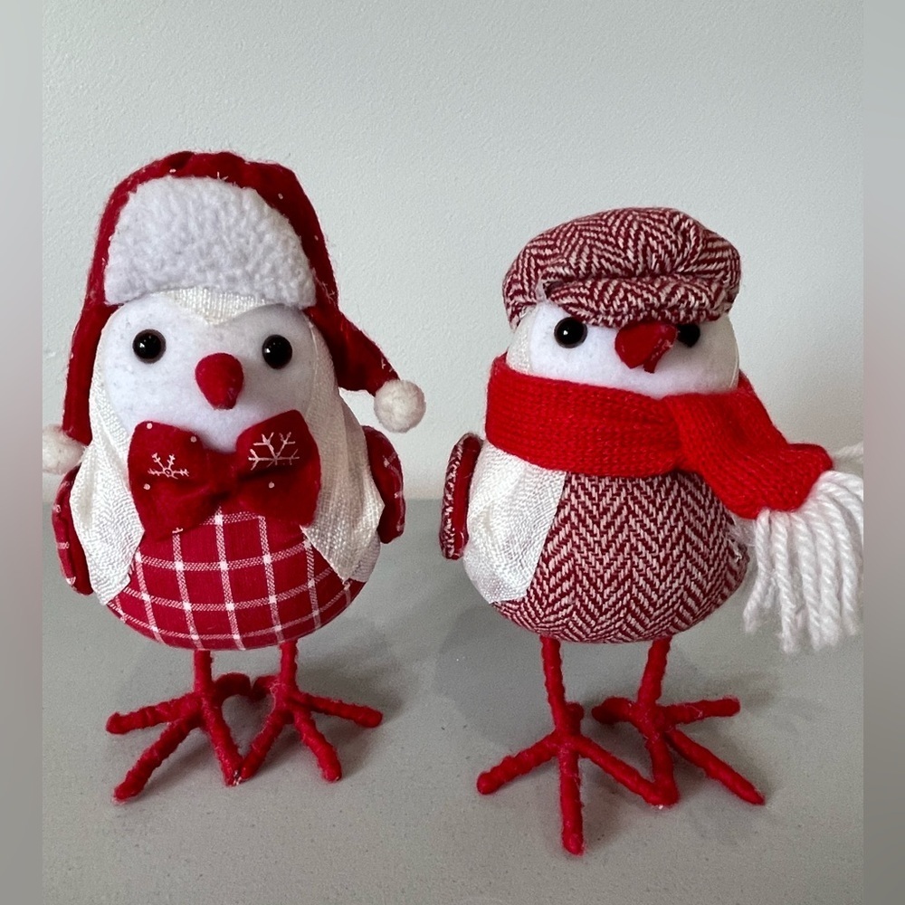 Bird Decor red and white winter dress hat scarf Christmas winter Valentines cute